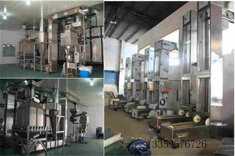 Z型提升機的應用