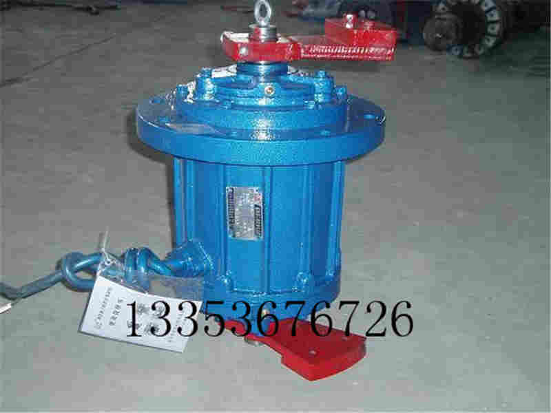立式振動(dòng)電機(jī) 立式振動(dòng)電機(jī)
